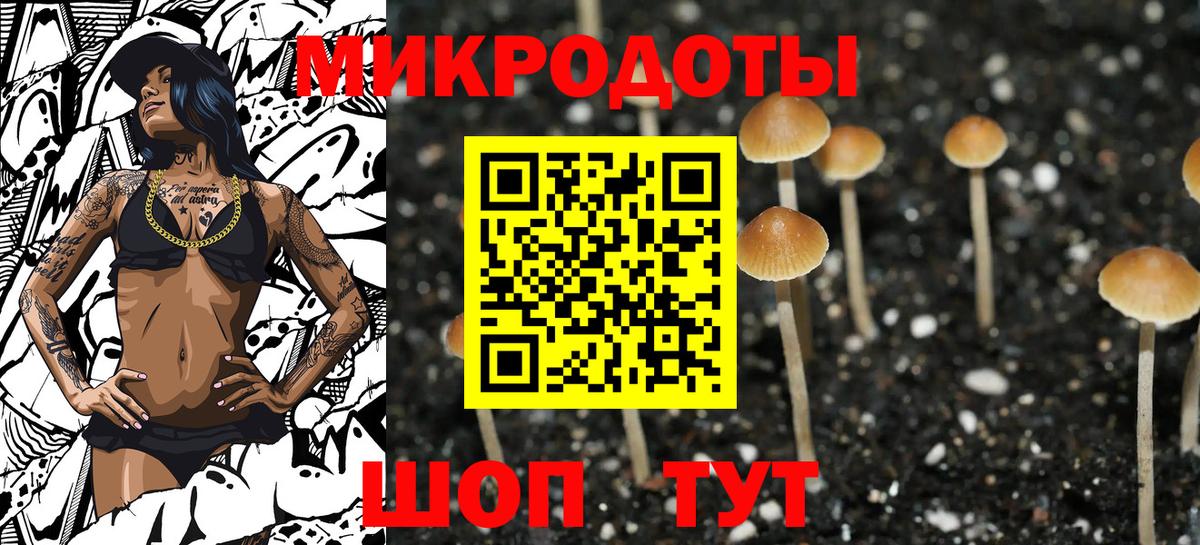 Ступино  Галлюциногенные грибы Magic Shrooms  Вход с VPN 