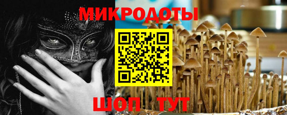 Псилоцибиновые грибы Psilocybine cubensis Ступино
